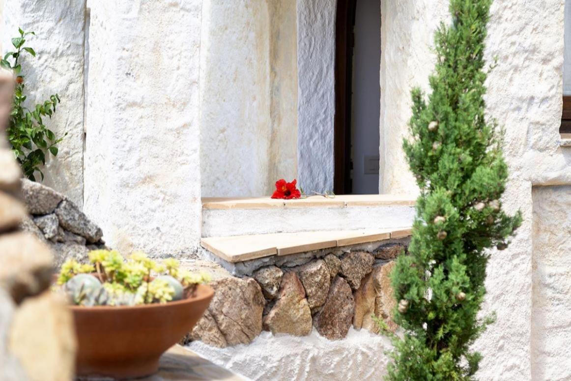 Villa Punta Saline Cannigione Luaran gambar